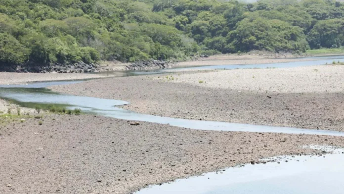 El Niño se intensifica, alerta de la ONU.