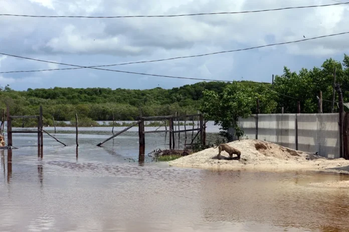 Tormenta Isaías causa apagones masivos en EE. UU.