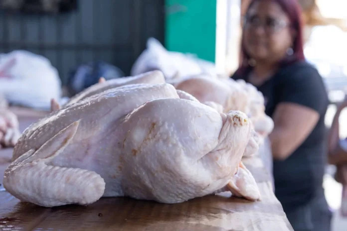 Precio del pollo en Santo Domingo.