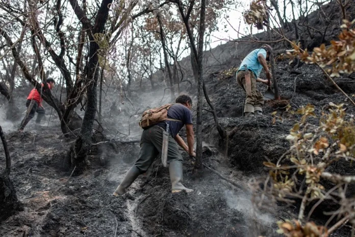 Incendios forestales en Cusco, siete muertes.