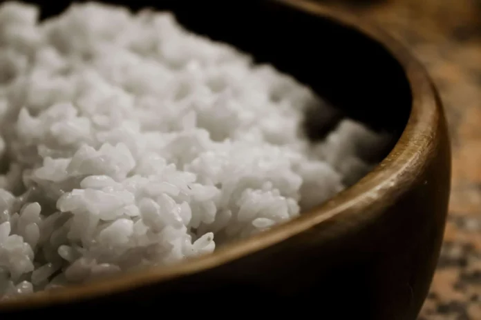 Arroz dominicano y desafíos del DR-CAFTA