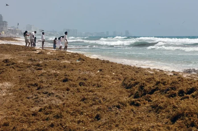 Crisis turística en Tulum por altos costos.